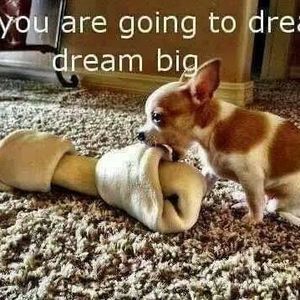 Meet your Posher, Vicki